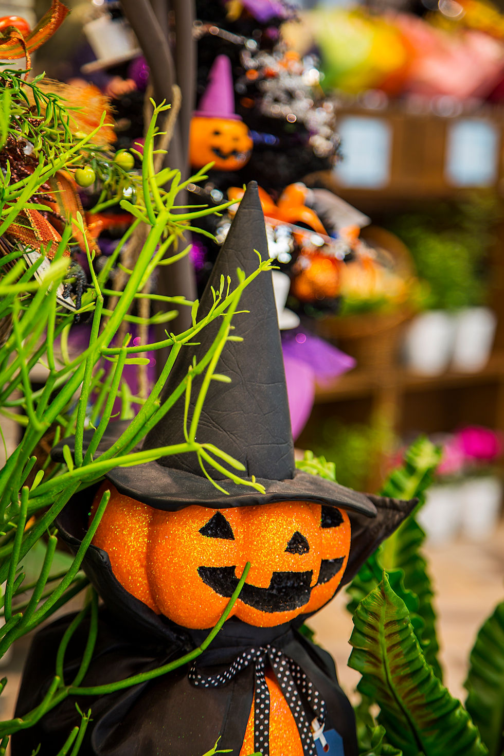 Halloween decoration in flower shop
