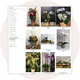 flower-shop_01.jpg